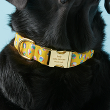 Load image into Gallery viewer, Splash! Dog Collar - The Foggy Dog
