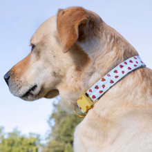Load image into Gallery viewer, Love Bug Dog Collar - The Foggy Dog
