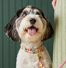 Load image into Gallery viewer, Rifle Paper Co. x TFD Marguerite Dog Collar - The Foggy Dog
