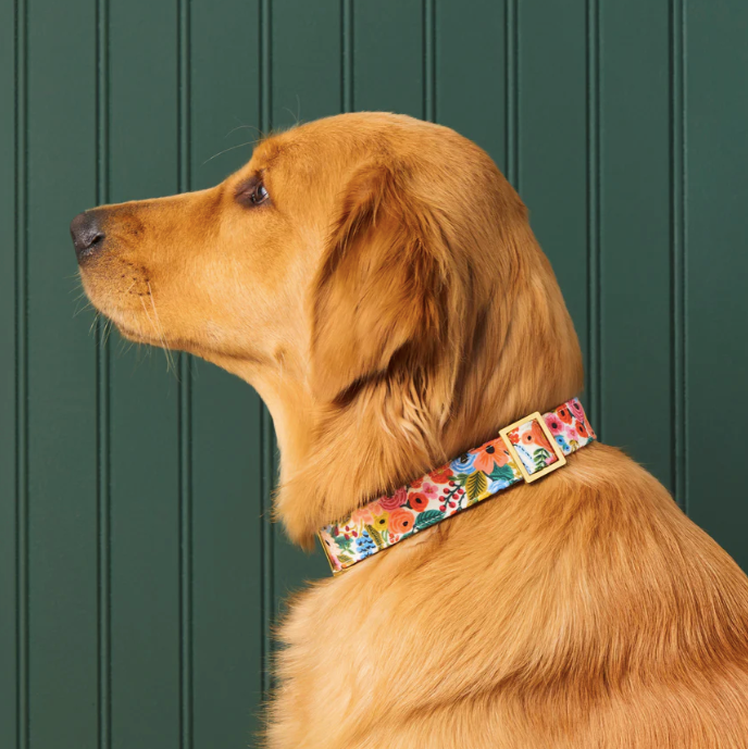Rifle Paper Co. x TFD Garden Party Dog Collar - The Foggy Dog