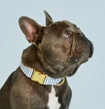 Load image into Gallery viewer, Lake Blue Stripe Dog Collar - The Foggy Dog
