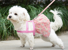 Load image into Gallery viewer, Floral Harness Dress + Leash Set - Pink Floral
