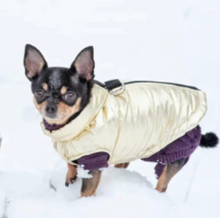Load image into Gallery viewer, Metallic Puffer Harness Vest - Gold
