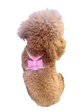 Rhinestone Bow Harness - Pink