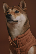 Load image into Gallery viewer, Easy Fit Jacket For Dogs - Camel
