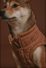 Load image into Gallery viewer, Easy Fit Jacket For Dogs - Camel
