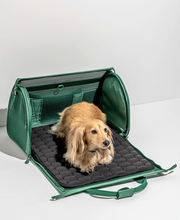 Load image into Gallery viewer, Wild One Travel Tsa Compliant Pet Dog Carrier - Spruce
