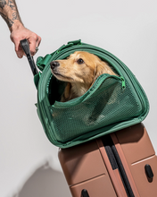 Load image into Gallery viewer, Wild One Travel Tsa Compliant Pet Dog Carrier - Spruce
