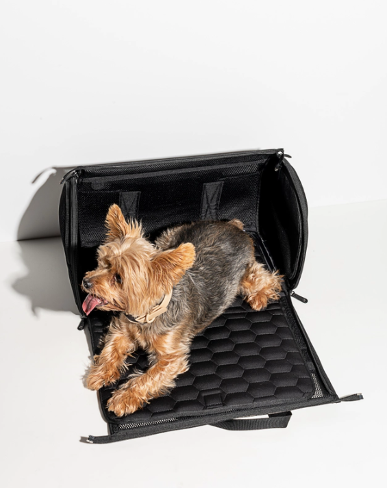 Wild One Travel Tsa Compliant Pet Dog Carrier - Black – Furrrbulous