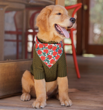 Load image into Gallery viewer, Olive Cable Knit Dog Sweater
