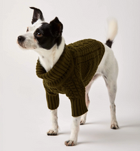 Load image into Gallery viewer, Olive Cable Knit Dog Sweater
