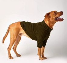 Load image into Gallery viewer, Olive Cable Knit Dog Sweater
