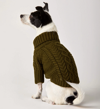 Load image into Gallery viewer, Olive Cable Knit Dog Sweater
