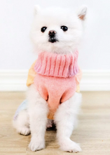 Load image into Gallery viewer, Rainbow Ombre Knit Pet Sweater
