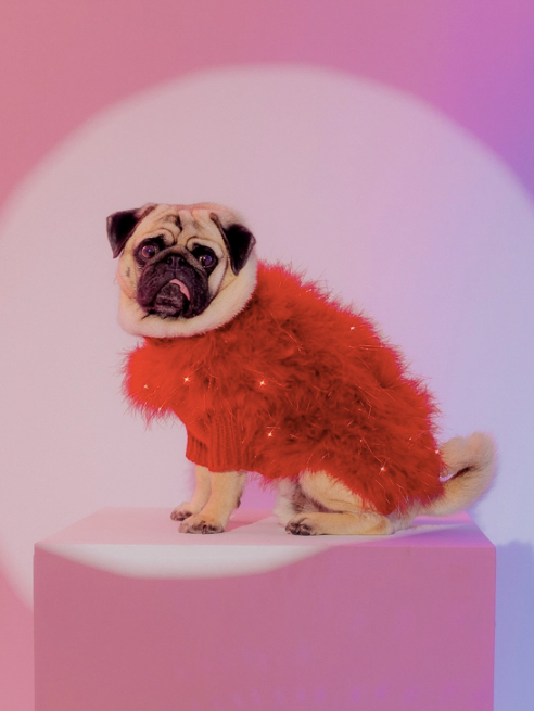Christian Cowan Red Holiday Glitz Jumper – Furrrbulous