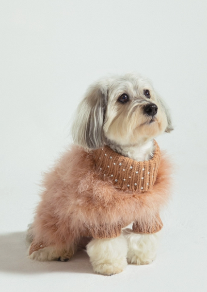 Christian Cowan x Maxbone Gemstone Jumper Peach – Furrrbulous