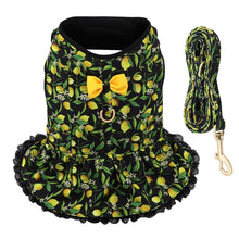Load image into Gallery viewer, Fruit Harness Dress + Leash - Black Lemons
