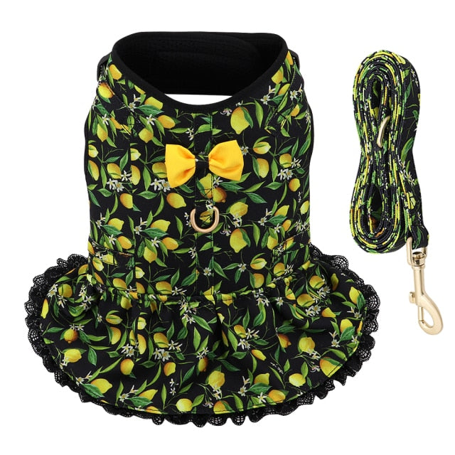 Fruit Harness Dress + Leash - Black Lemons