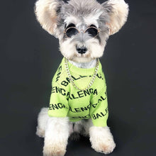 Load image into Gallery viewer, Pawlenciaga Sweater - Neon Green or Black

