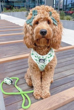 Load image into Gallery viewer, Natural &amp; Sustainable Rope Leash- Springtime Green
