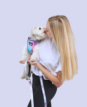 Load image into Gallery viewer, The Runway Collection Dog Leash - Woofstock Tie Dye
