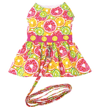 Load image into Gallery viewer, Citrus Slice Dog Dress with Matching Leash
