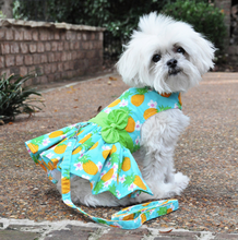 Load image into Gallery viewer, Pineapple Luau Dress with Leash &amp; D-Ring
