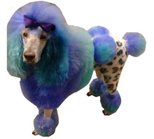Load image into Gallery viewer, Critter Color Vegan Temporary Fur Coloring
