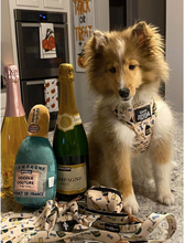 Load image into Gallery viewer, Champs &amp; Treats Puparazzi Gift Set
