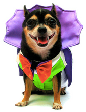Load image into Gallery viewer, Dogula Costume
