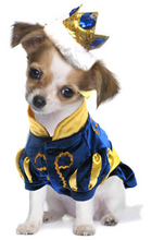 Load image into Gallery viewer, Prince Charming Costume
