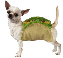Load image into Gallery viewer, Taco Dog Costume
