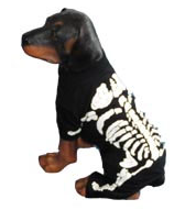 Load image into Gallery viewer, Glow in the Dark Skeleton Costume
