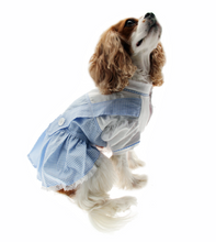 Load image into Gallery viewer, Dorothy Dog Costume
