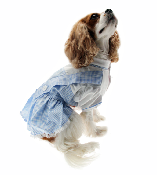 Dorothy Dog Costume