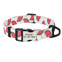 Load image into Gallery viewer, Personalized Fruit Nylon Collar + Leash Set- Watermelon, Pineapple, Lemon
