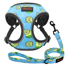 Load image into Gallery viewer, Fruit Adjustable Dog Harness + Leash Set - Multiple Styles

