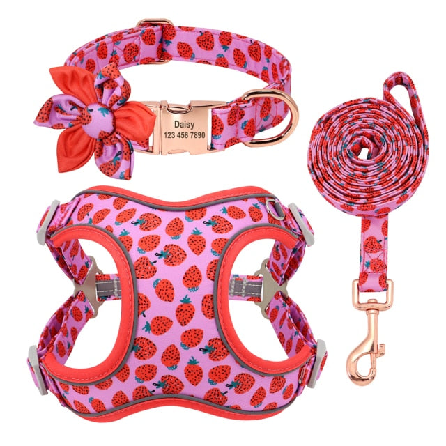 Personalized Fruity Collar, Harnesses + Leash Set - Multiple Styles