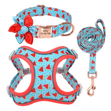 Load image into Gallery viewer, Personalized Fruity Collar, Harnesses + Leash Set - Multiple Styles
