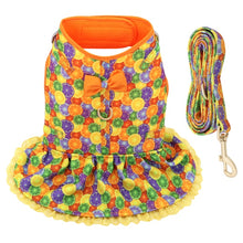 Load image into Gallery viewer, Fruit Harness Dress + Leash
