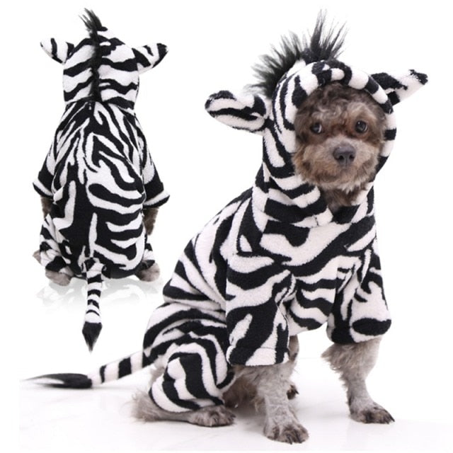 Wild Leopard, Zebra + Spider Costumes