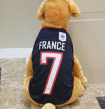 Load image into Gallery viewer, Sports Jersey XS-6XL
