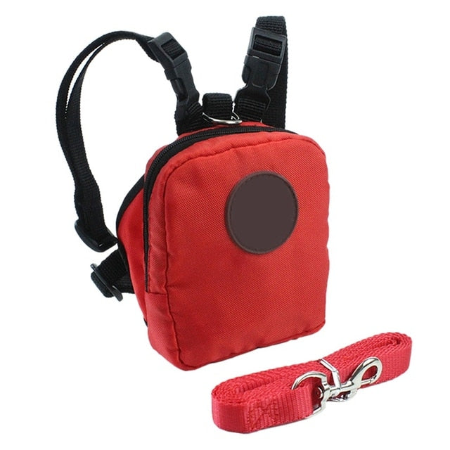 Pet Backpack Harness + Matching Leash